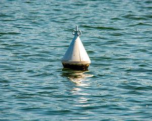 Collection image for: Floating Accessories