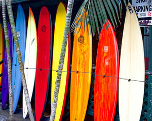 Collection image for: Surf Accessories