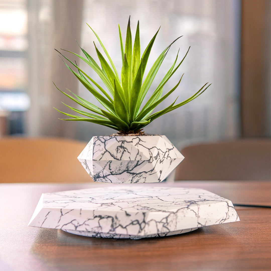 Magnetic Levitating Planter | Marble Effect | Cartixio – cartixio