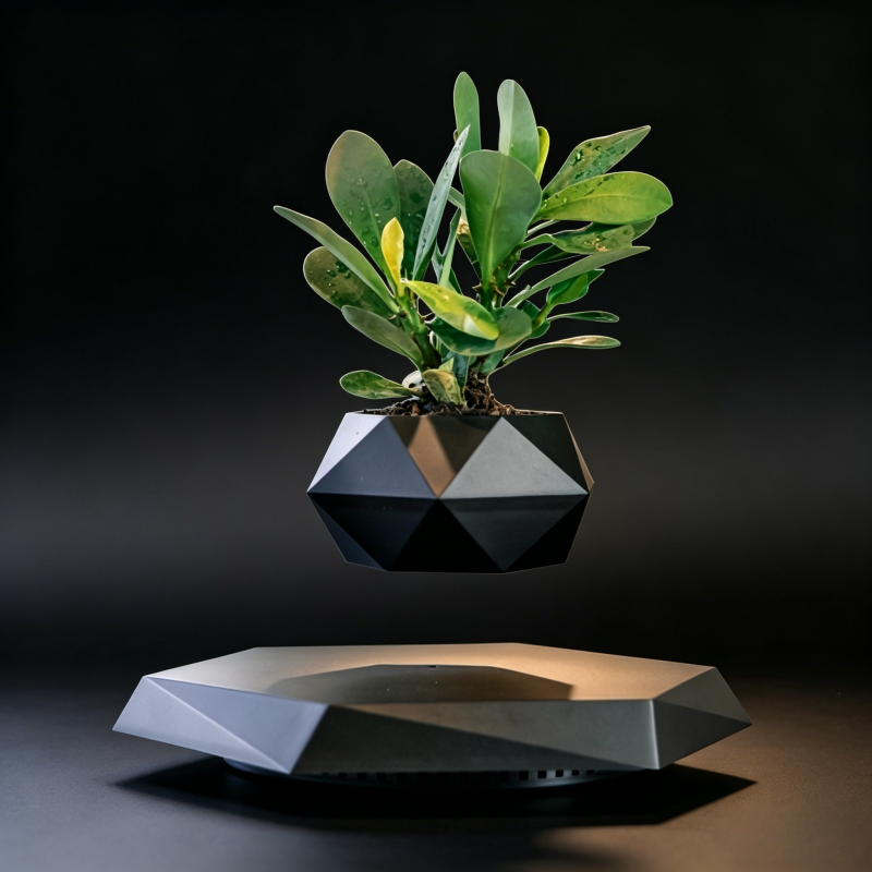 Magnetic Levitating Planter Black