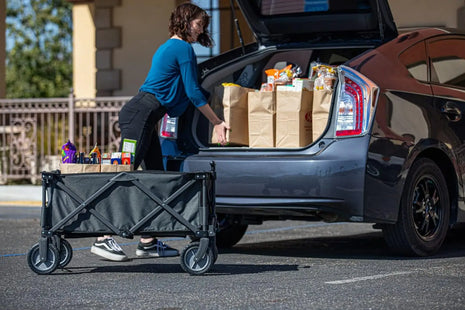 220 lbs Heavy Duty Foldable Camping Wagon Cart with Wheels