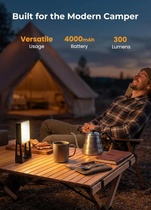 2-Pack LED Camping Lantern with 360° Stand & Flashlight
