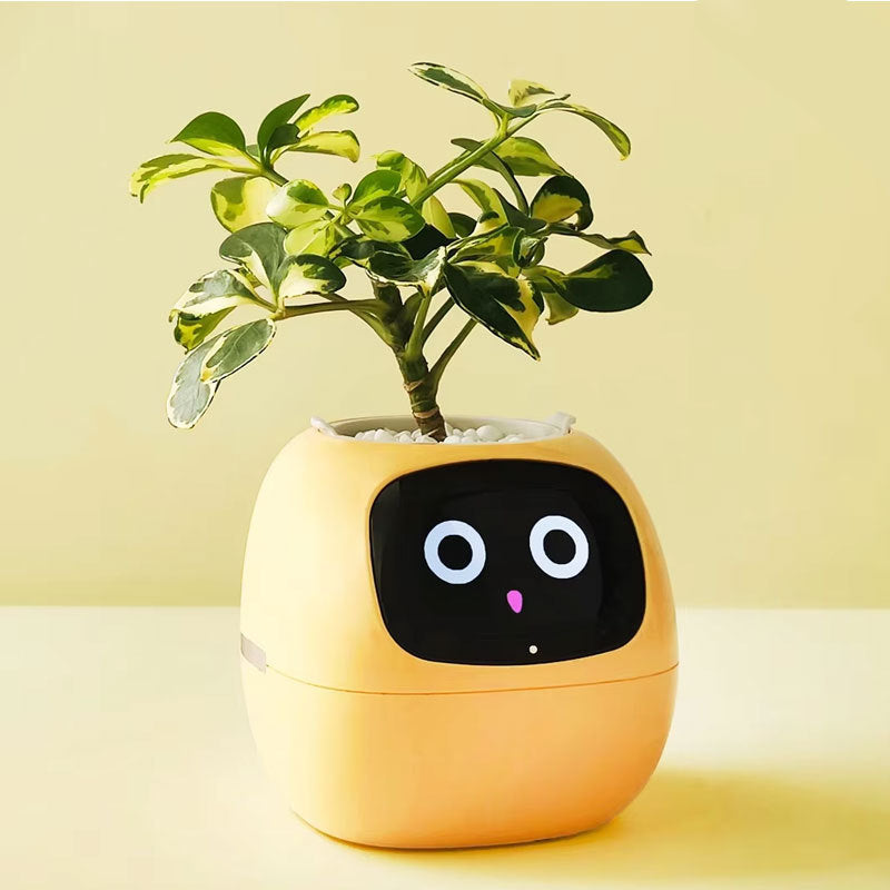 Ivy Smart Planter 2nd Generation – Interactive Self-Watering Plant Pot