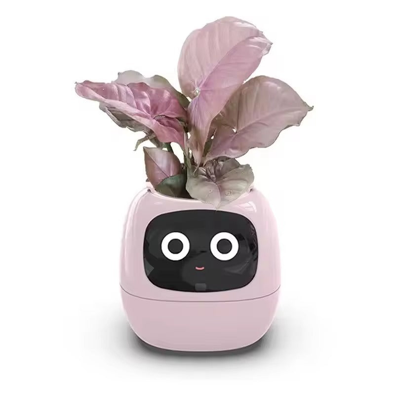 Ivy Smart Planter 2nd Generation – Interactive Self-Watering Plant Pot