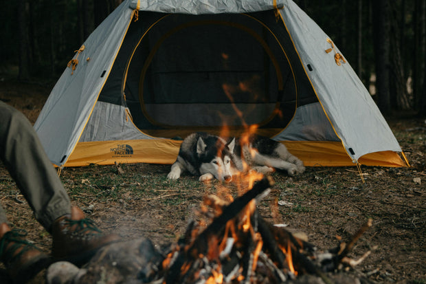 <h2><strong>Pet Outdoor Gear</strong></h2>